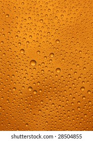 Beer Bottle Macro