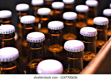 Beer Bottles In Crate