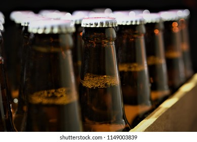 Beer Bottles In Crate