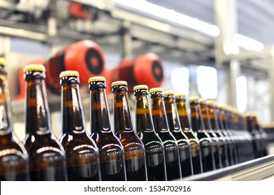 beer bottles on the assembly line in a modern brewery - industrial plant in the food industry 