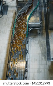 Beer Bottles On Conveyor Belt, Top View, Vertical Image