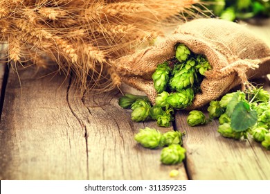 Beer brewing ingredients Hop in bag and wheat ears on wooden cracked old table. Beer brewery concept. Hop cones and wheat closeup. Sack of hops and sheaf of wheat on vintage background. 