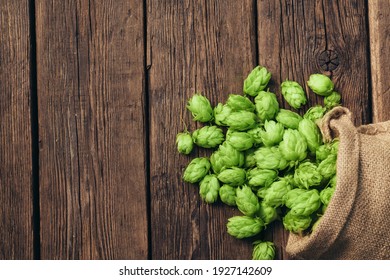 Beer brewing ingredients, hop cones, on a wooden cracked old table. Beer brewery concept. Hop cones closeup. Sack of hops on rustic vintage background.