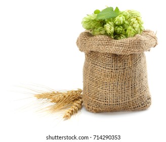 Beer Brewing Ingredients Hop Cones In Sack And Wheat Ears Isolated On White Background. Beer Brewery Concept. Beer Background