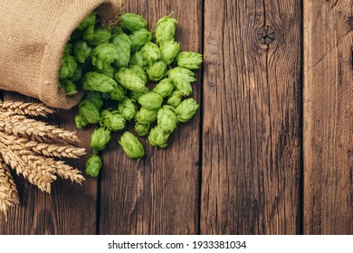 Beer brewing ingredients, hops, and wheat ears on a wooden cracked old table. Beer brewery concept. Hop cones and wheat closeup. Sack of hops and sheaf of wheat on vintage background.