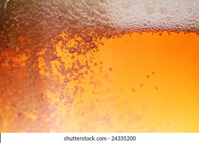 Beer Bubble