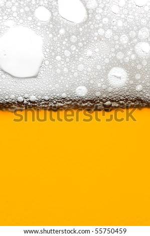 beer bubbles