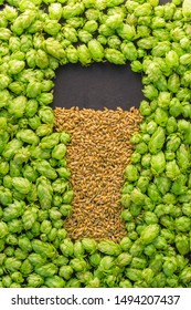 Beer concept. Natural ingredients of brewery process- hops cones pattern and barley grains in form of shape of beer glass. October fest idea board.