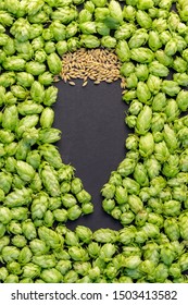 Beer concept. Natural ingredients of brewery process- hops cones pattern and barley grains in form of shape of beer glass. October fest idea board.