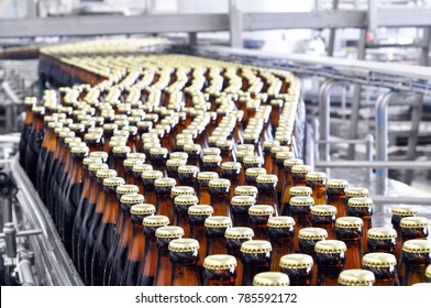 beer filling in a brewery - conveyor belt with glass bottles