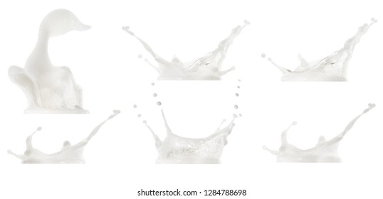 Beer Foam Splash Collection Isolated On White Background