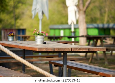 Beer Garden With Flowers Decoration On Table. Seating In The Sun With Plant In Tin Bucket.