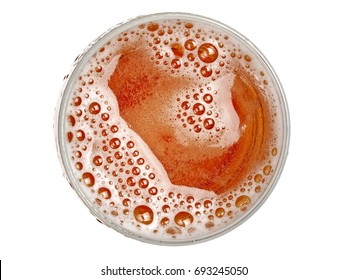 Beer Glass, Top View