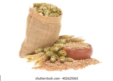 Beer Ingredients, Hops, Wheat, Grain, Barley And Malt Isolated On White
