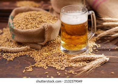 Beer Ingredients:barley Near Beer Glass