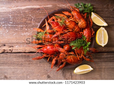 Beer party. Still life with crayfish crawfish on old wooden rustic background. Top view. Overhead. Copy space.