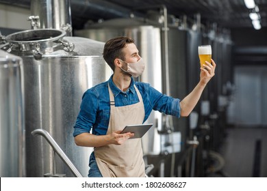 Beer Quality Control. Man In Apron And Protective Mask With Digital Tablet Looking At Glass Of Beer On Brewery Factory, Free Space