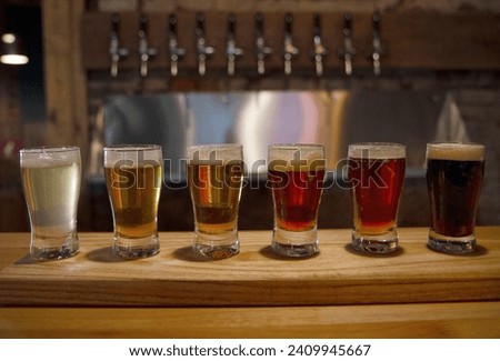 Beer samples in small shot glasses on the bar counter. 