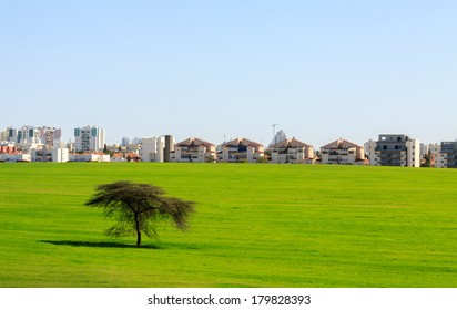 Beer Sheva suburb behind a green field and tree under sky, Israel