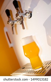 Beer Tapped From A Kegerator