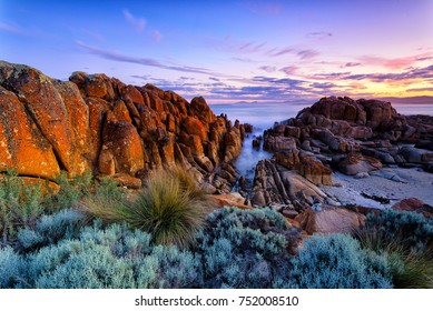 Beerbarrel Beach, Tasmania. - Shutterstock ID 752008510