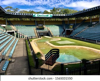 Beerwah, QLD / Australia - July 9, 2018: Crocoseum At Australia Zoo Empty With Bin Chickens, Or Australian White Ibis (Threskiornis Moluccus), Lined Up On Either Side Of The Water In Centre Of Stadium