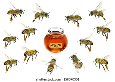 Bees flying to honey glass isolated on a white background