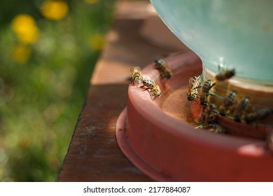 Bees Flying Near The Hive, Macro Shot