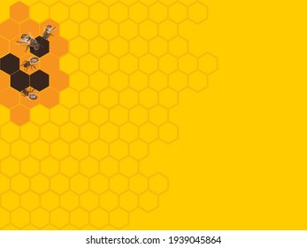 The Bees Made Honey For The Backdrop, Yellow Background.