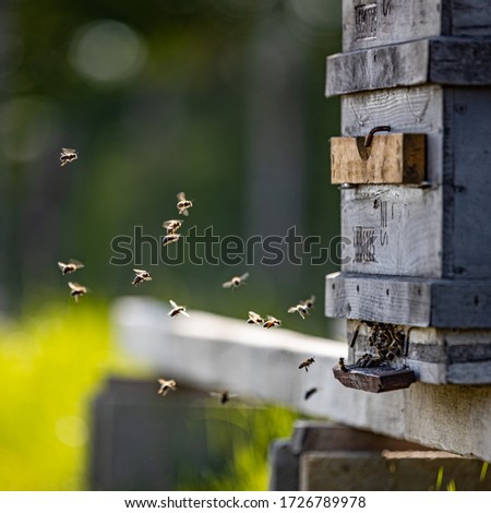 Similar – Meeting point beehive