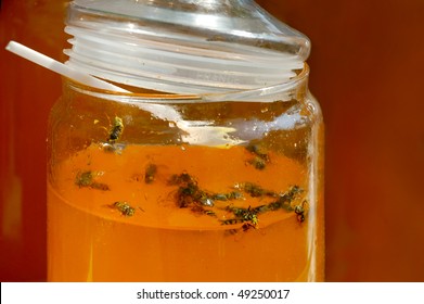 Bees Trapped In Jar With Honey