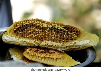 Beeswax (Cera alba)is a  Natural terai wax manufactured by honey bees from Sunsari District of Eastern NEPAL