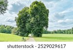 Beethoven Park in Cologne, A park path with trees, a person walking, and a grassy field. Cloudy sky.