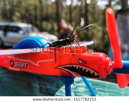 
Beetle prepares for piloting an airplane