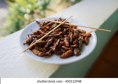 Beetles, Grasshoppers , Exotic Food