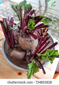 Beetroot