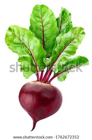 Beetroot isolated on white background with clipping path, one whole beet with leaves