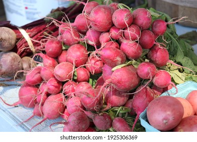 Beets At Local Farm Stand