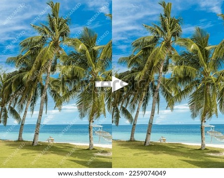 Before and after example of AI watermark remover tool erasing watermarks from a photo of a beach.