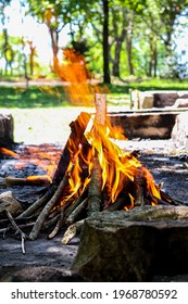 Before Making The Branches Turn To Ash They Have To Go Through The Fire Transition First
