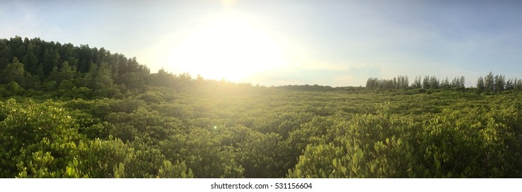 before sun set