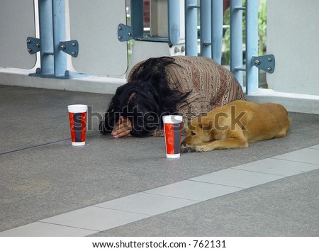 Begging dog
