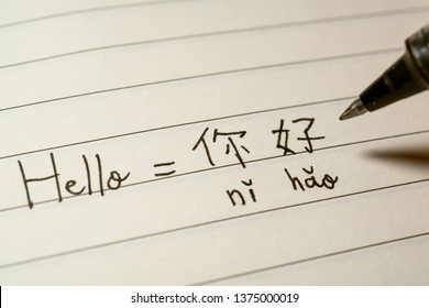 Beginner Chinese language learner writing Hello word Nihao in Chinese characters and pinyin on a notebook macro shot