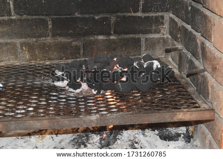Beginning of a Barby or Braai or Barbeque