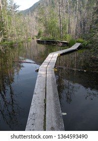 The Beginning Of The Chilkoot Trail