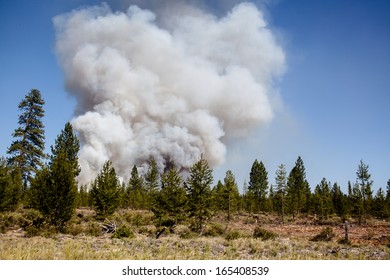 The Beginning Of A Forest Fire In Oregon