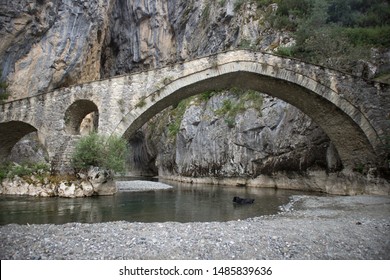 The beginning of a magnificent Gorge, with the stone bridge to appear in front. A black dog plays inside the cold river. Characterized by its high cliffs of 150-200 meters, Portitsa, Grevena, Greece.