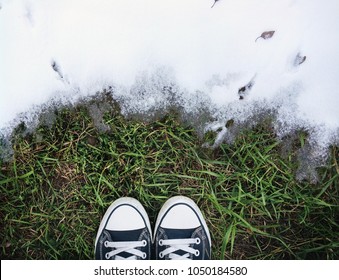 The beginning of spring. The boundary between the grass on the ground and white snow symbolizes the transition from winter to spring or from autumn to winter. Snow is melting. Sneakers on the grass. - Powered by Shutterstock