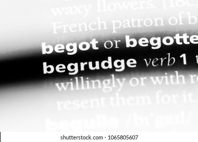 begrudge word in a dictionary. begrudge concept.