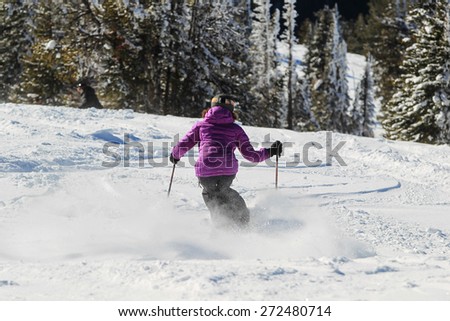 Similar – Skier from behind on the mountain